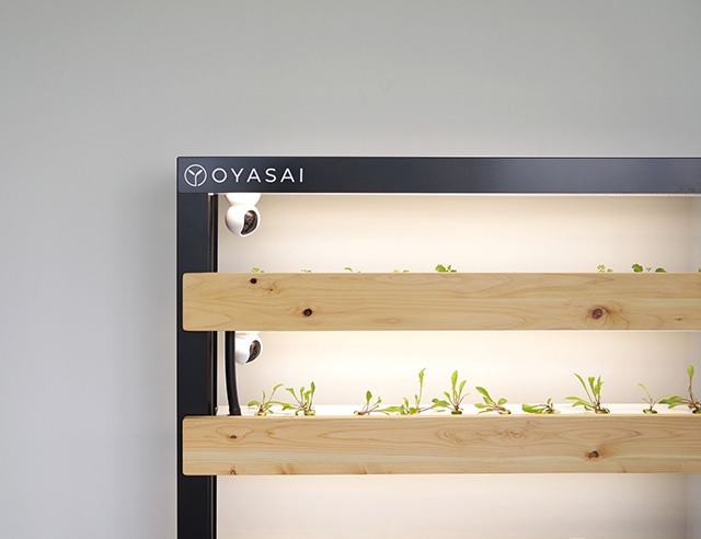 未来のスマート農業体験 /  OYASAI株式会社